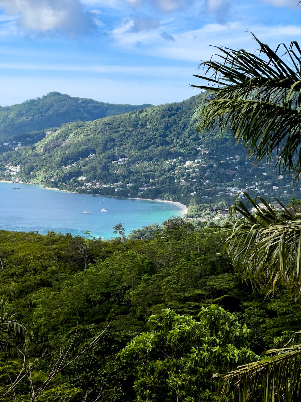 birds eye view of seychelles